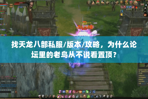 找天龙八部私服/版本/攻略，为什么论坛里的老鸟从不说看置顶？