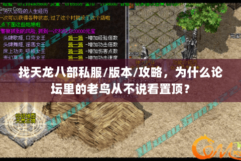 找天龙八部私服/版本/攻略，为什么论坛里的老鸟从不说看置顶？